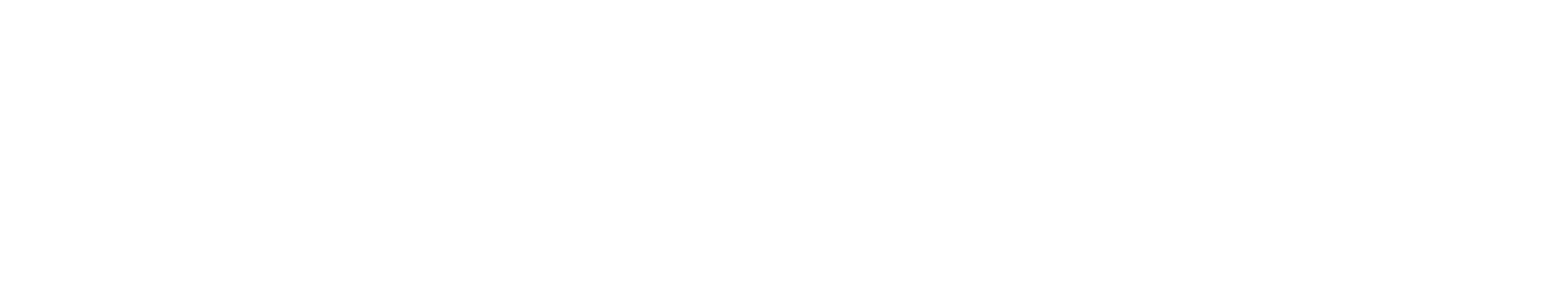 Egemer Demir